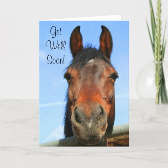 Get Well Soon horse greeting card | Zazzle.com