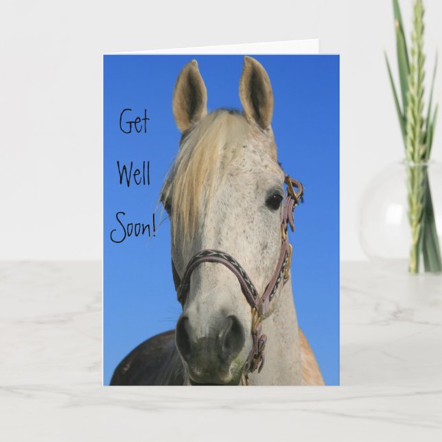 Get Well Soon horse greeting card (Front)