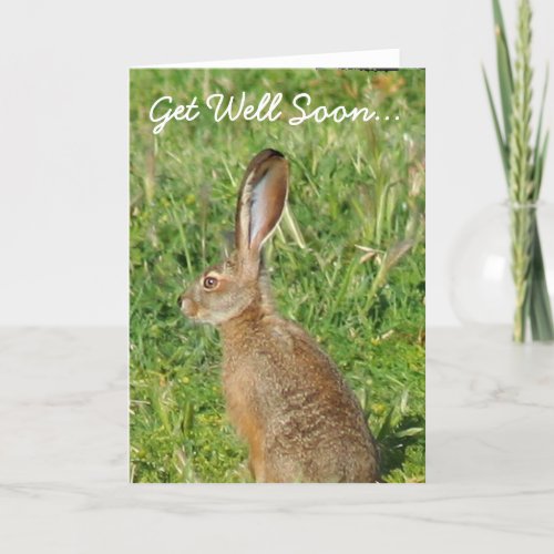 Get Well Soon Jack Rabbit Greeting Card