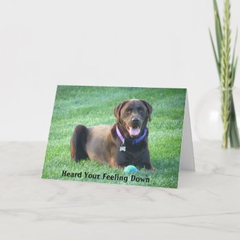Get Well Soon Labrador Retriever Greeting Card by Sidelinedesigns at Zazzle