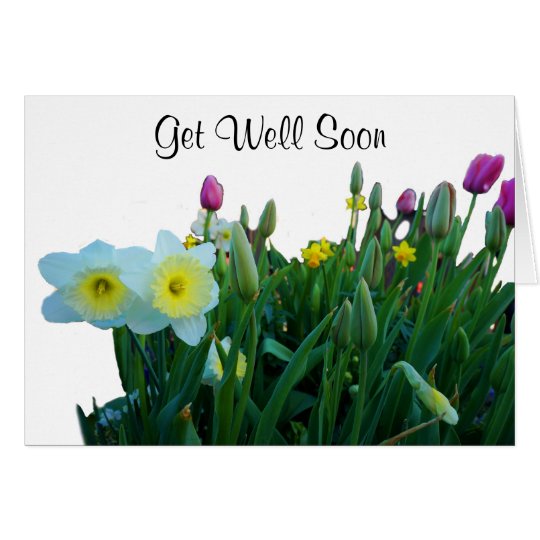 Get Well Soon Large-Cupped Daffodil #2 Card | Zazzle.com