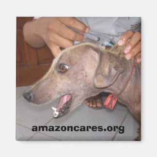 Get Well Soon! Magnet