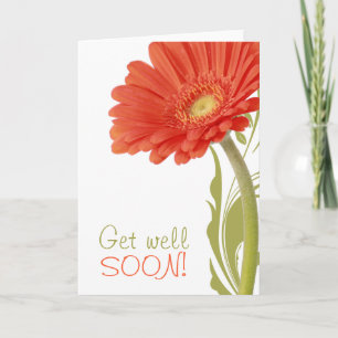 Get Well Soon Orange Gerbera Daisy Blank Inside Card