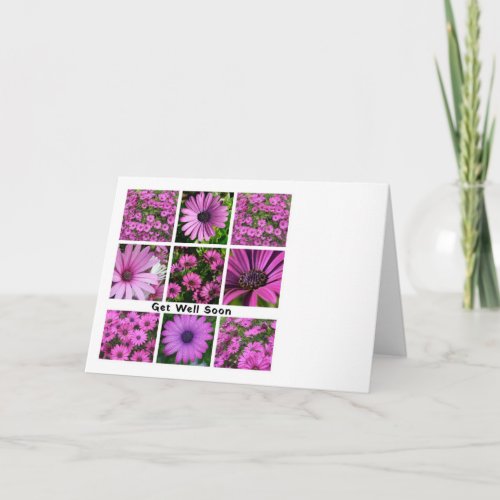 Get Well Soon Pink African Daisy Photograph Collag Card