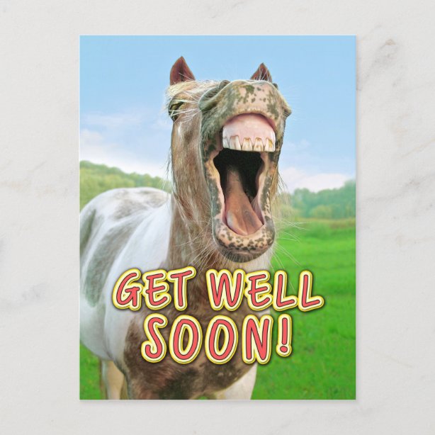 Funny Horse Cards | Zazzle