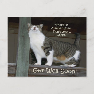 Get Well Soon (Postcard) Postcard