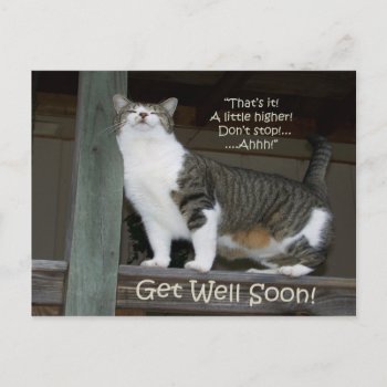 Get Well Soon (postcard) Postcard by DanceswithCats at Zazzle