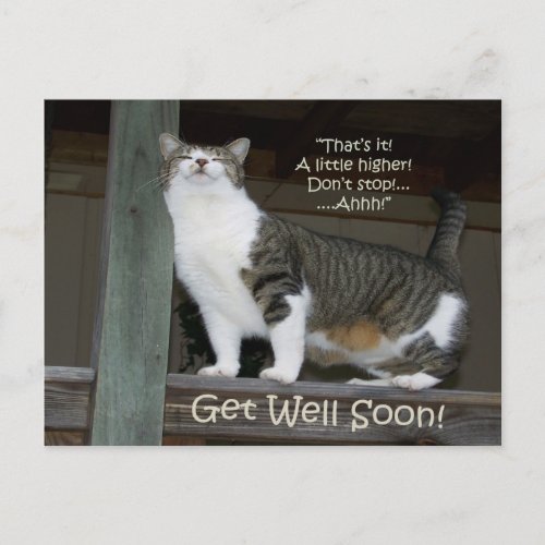Get Well Soon Postcard Postcard