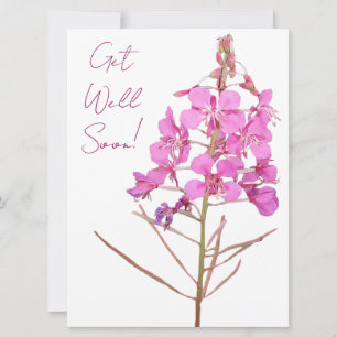 Get well soon pretty pink flowers simple floral holiday card