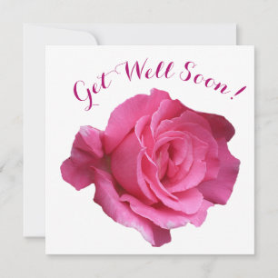Get well soon pretty pink rose beautiful floral holiday card