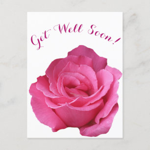 Get well soon pretty pink rose simple floral love  postcard