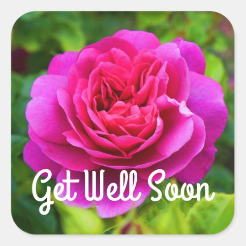 Get Well Soon Princess Anne Rose 1 Stickers