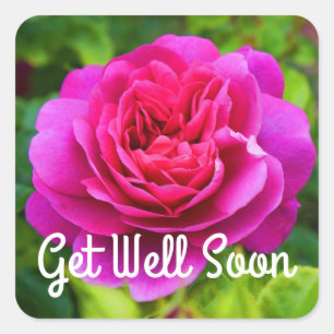Get Well Soon Princess Anne Rose #1 Stickers