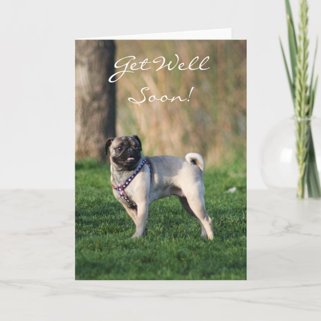 Get well soon Pug in the park greeting card (Front)