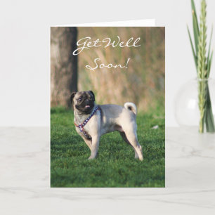 Get well soon Pug in the park greeting card