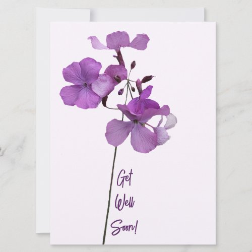 Get well soon purple flowers trendy funny boho holiday card