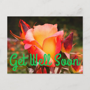 Get Well Soon Rainbow Sorbet Rose #1 Postcard