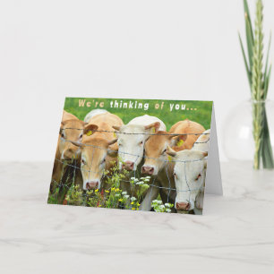 Get Well Soon Ranch Farm Cattle Country Flowers Card