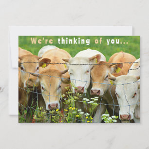 Get Well Soon  Ranch Farm Cattle Country Flowers Holiday Card