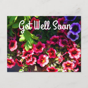 Get Well Soon Red Petunias #1 Postcard