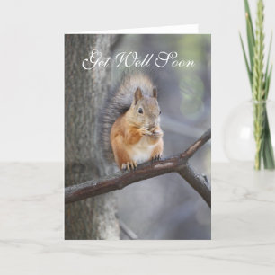 Get Well Soon Red Squirrel Greeting Card