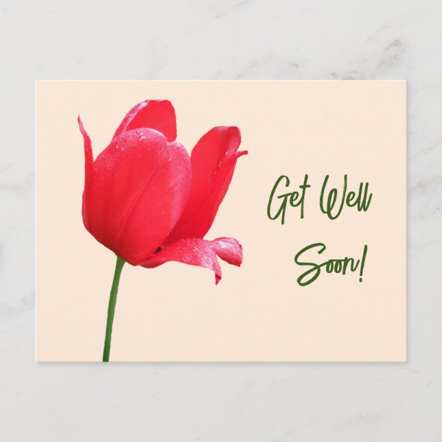 Get well soon red tulip minimalist floral boho  postcard (Front)