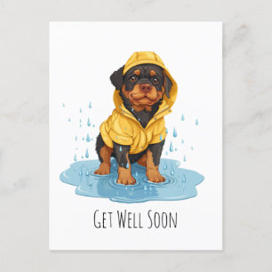 Get Well Soon Rottweiler Dog Wearing Raincoat Postcard