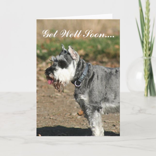 Get Well Soon Schnauzer dog greeting card (Front)
