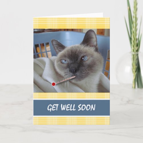 Get Well Soon Sick Cat Purrfect Recovery Card