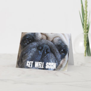 Dog With Surgical Glove Funny / Humorous Pug Get Well Card