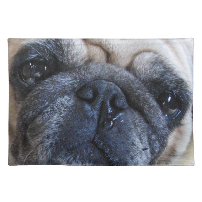 Get Well Soon Sick Pug Dog Cloth Placemat (Front)