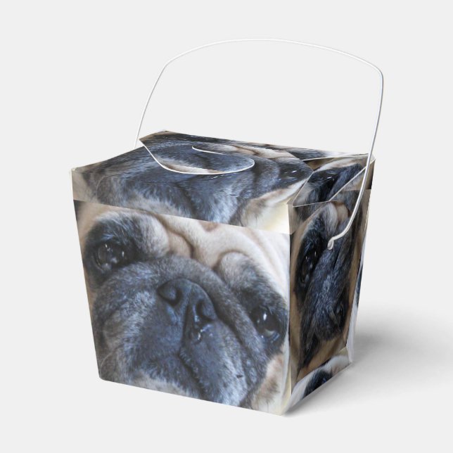 Get Well Soon Sick Pug Dog Favor Boxes (Front Side)