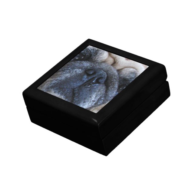 Get Well Soon Sick Pug Dog Gift Box (Side)