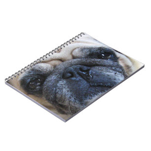Get Well Soon Sick Pug Dog Notebook