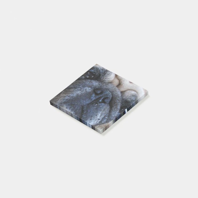 Get Well Soon Sick Pug Dog Post-it Notes (Angled)