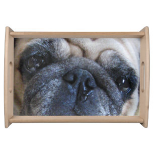 Get Well Soon Sick Pug Dog Serving Tray