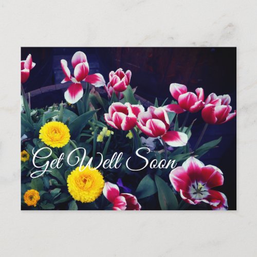 Get Well Soon Spring Flowers 4 Postcard