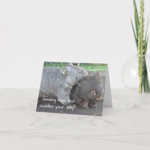 Get well soon sympathy cuddly wombat animals card