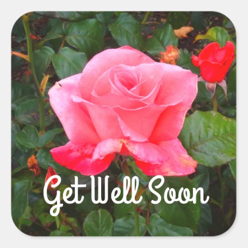 Get Well Soon Touch of Class Rose 1_2 Stickers