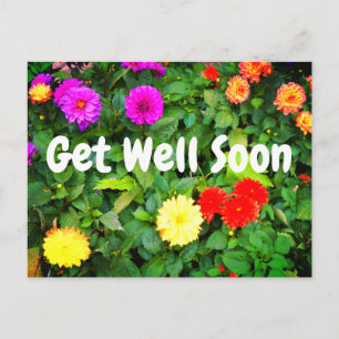 Get Well Soon Various Dahlias #1 Postcard