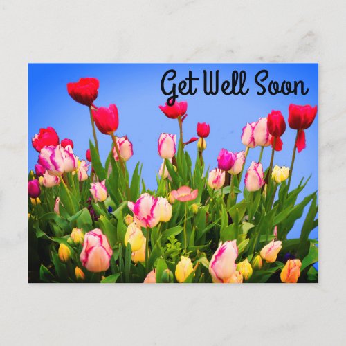 Get Well Soon Various Tulips 3 Postcard