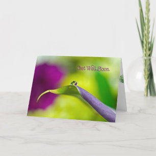 Get Well Soon water droplet on leaf Card