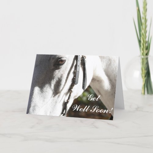 Get Well Soon White Horse Greeting Card
