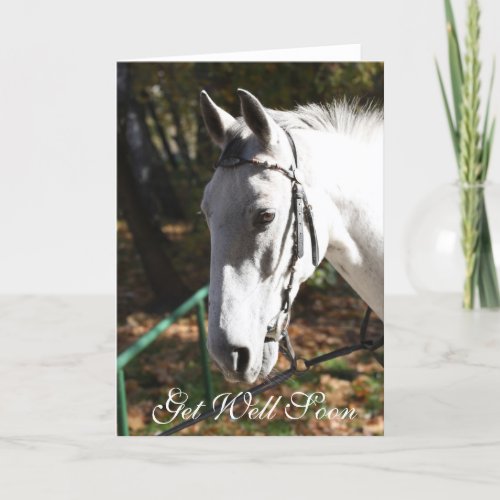 Get Well Soon White Horse Greeting Card