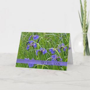 Get Well Soon wildflower iris in grass Card