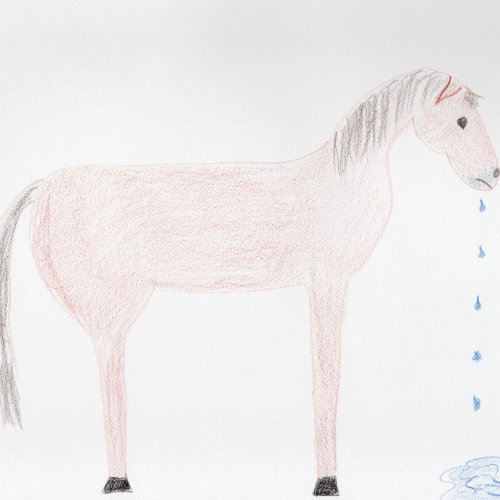 Get Well _ Sorry  Horse Spittle Card