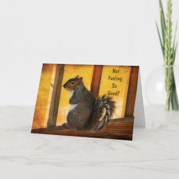 Get Well - Squirrel Greeting Card by LoisBryan at Zazzle