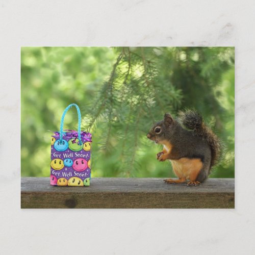 Get Well Squirrel Postcard