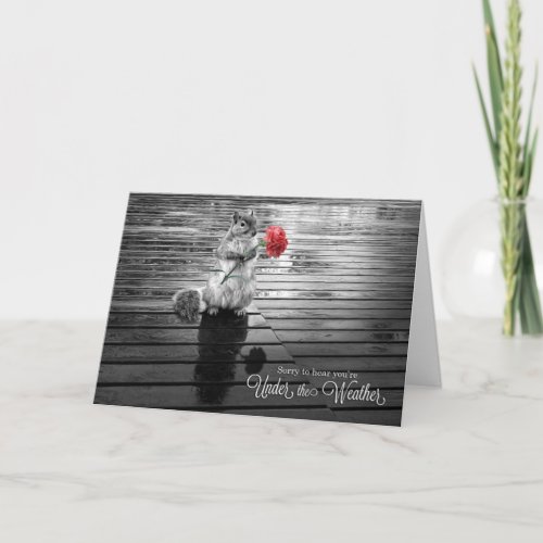 Get Well Squirrel with Carnation Black and White Card