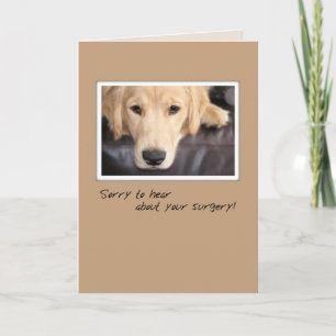 Get Well Surgery Dog, Golden Retriever Card